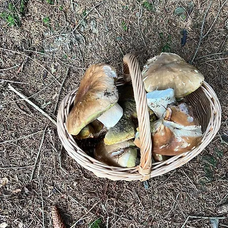 Vilavítkovice Vítkovice